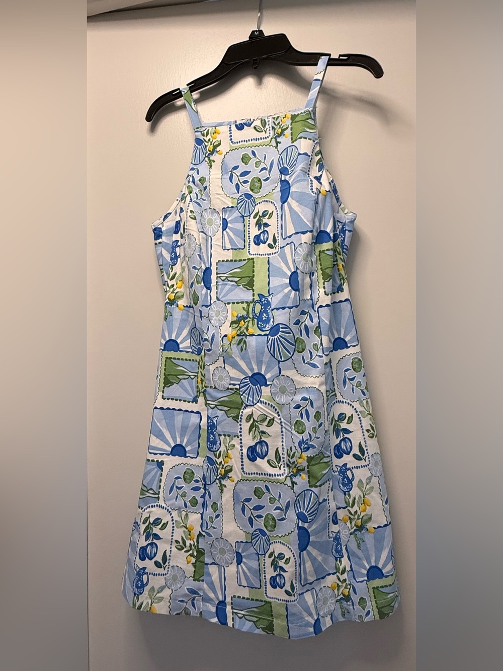 NWOT Francesca’s Coastal Print Fit & Flare Mini Dress Size M